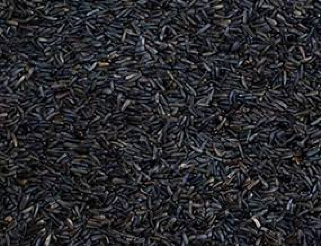 Niger seed from Ethiopia
